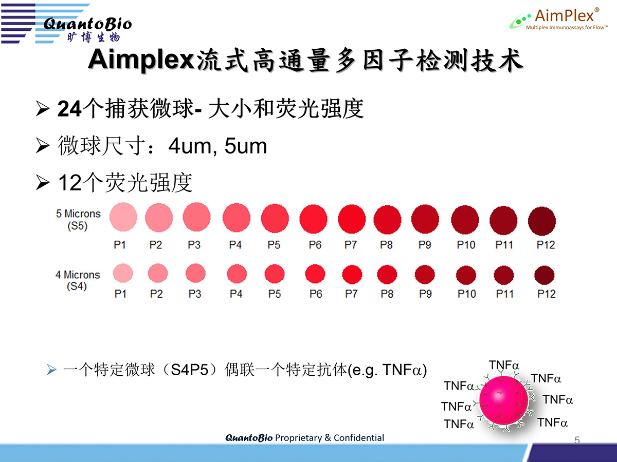 AimPlex流式高通量多因子检测技术介绍最新-hy -2.27_05.jpg