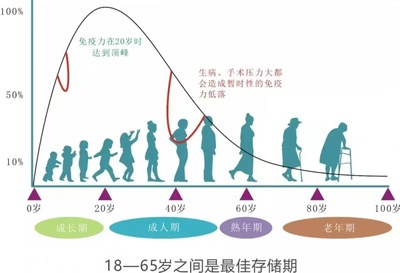 免疫力20岁达峰，80岁几乎耗竭
