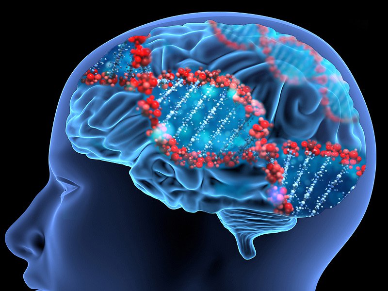dt_151013_brain_dna_genes_800x600.jpg
