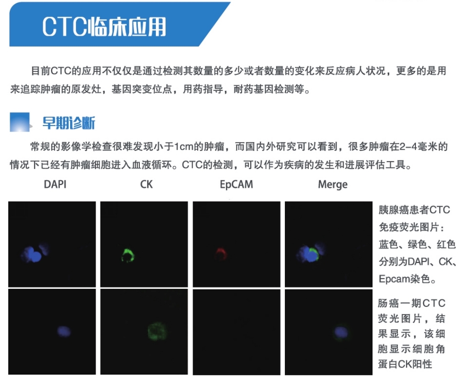 CTC临床应用.jpg