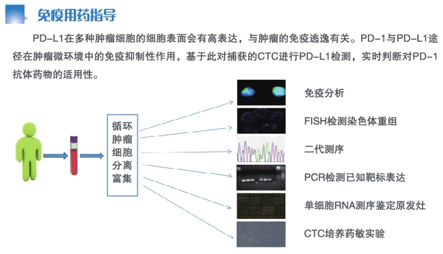 CTC下游实验应用3.jpg