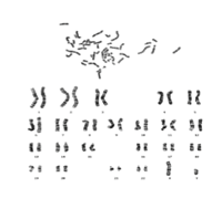 image011.png