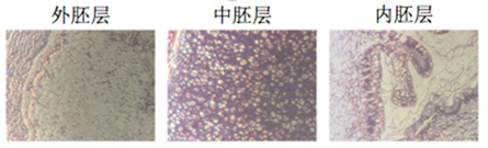 image010.png