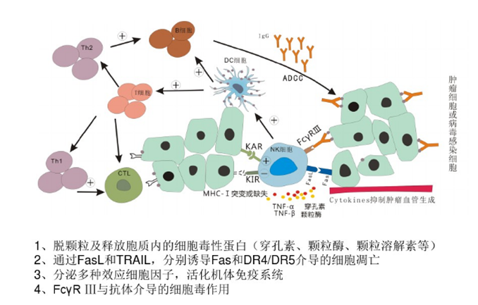 图片13.png