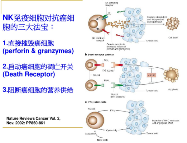图片12.png