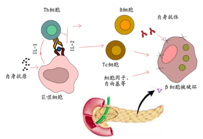 BaiduShurufa_2018-7-20_10-53-3.png